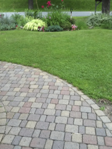 Lexington Ma Poison Ivy Removal