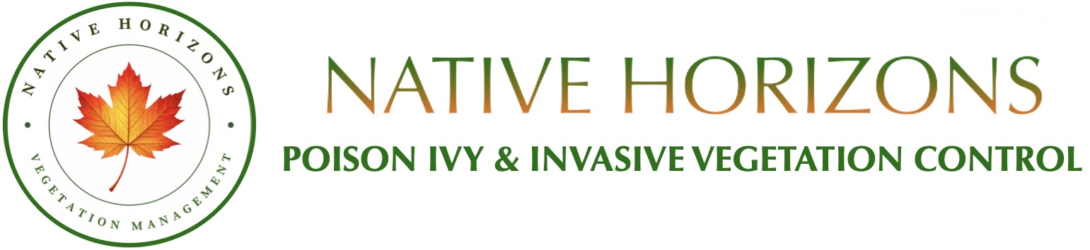 Native Horizon Services